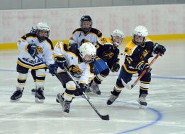 Match of Donetsk Bears child's hockey command