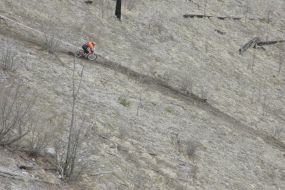 Открытый кубок Украины по скоростному спуску «Горный велосипед»