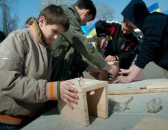 Хлопчики роблять шпаківню