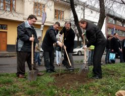 Jоzsef Bacskai and Viktor Pogorelov