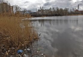 Мусор на побережье озера Опечень