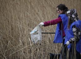 Субботник на прибрежной зоне озера Опечень