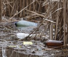 Мусор на побережье озера Опечень