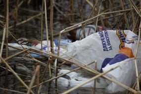 Мусор на побережье озера Опечень