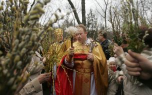 Consecration of pussy willow