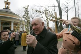 Sprigs of pussy willow