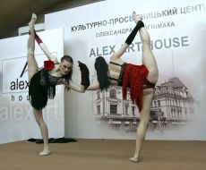 Freak Ballet shaw-ballet