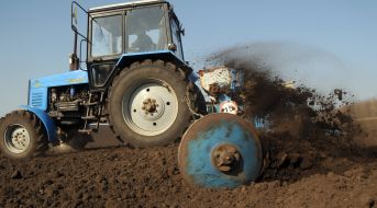 Tractor sowing sunflower