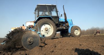 Tractor sowing sunflower