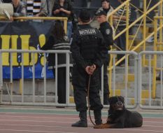 Employee of militia with a dog