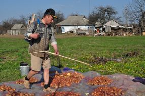 Сільське господарство