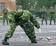 Demonstrative performances of martial arts