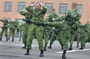 Demonstrative performances of martial arts