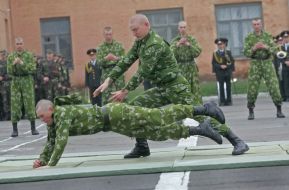 Demonstrative performances of martial arts