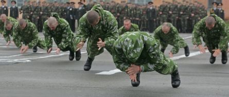 Demonstrative performances of martial arts