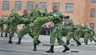 Demonstrative performances of martial arts