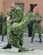 Demonstrative performances of martial arts