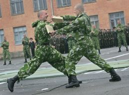 Demonstrative performances of martial arts