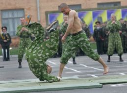 Demonstrative performances of martial arts