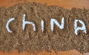 Гречневая крупа