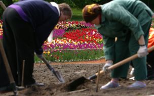 The landing of colors