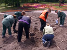 The landing of colors