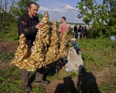 Art-geographic project "Golden Mountains"
