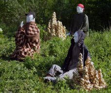 Art-geographic project "Golden Mountains"