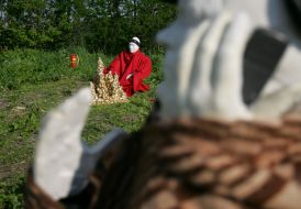 Art-geographic project "Golden Mountains"