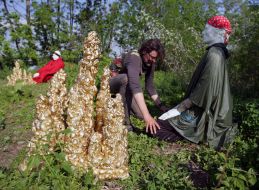 Art-geographic project "Golden Mountains"