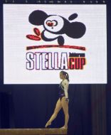 Participant of tournament