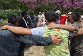 Celebrates of Lag Ba-Omer