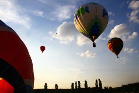Cup Podolia Ballooning