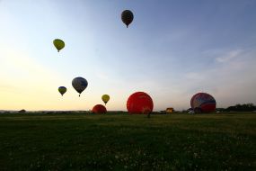 Cup Podolia Ballooning