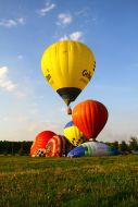 Cup Podolia Ballooning