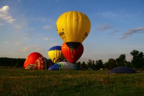 Cup Podolia Ballooning
