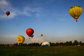 Cup Podolia Ballooning