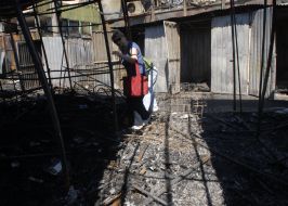 Consequences of fire