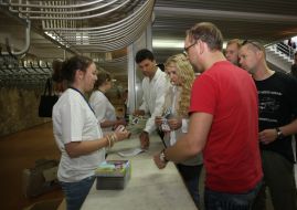 Михаил Ливинский, Юлия Тимошенко и Сергей Власенко