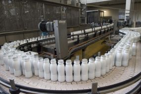 Factory of swiss producer of chhanas of producer