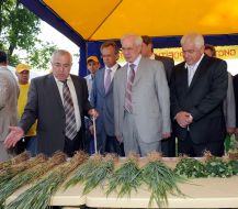 Nikolay Azarov, Nikolay Prisyazhnyuk and Anatoliy Prisyazhnyuk