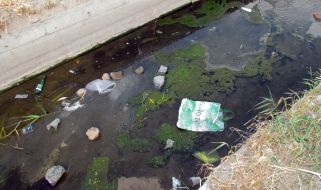 Ditch