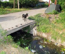 Ditch