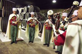 Members of the orchestra of the Republican Guard of Algeria