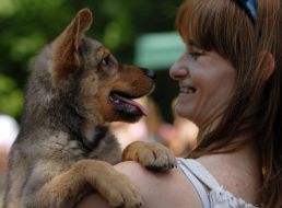Благотворительная выставка беспородных собак