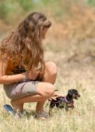 Благотворительная выставка беспородных собак