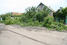 The impact of Hurricane