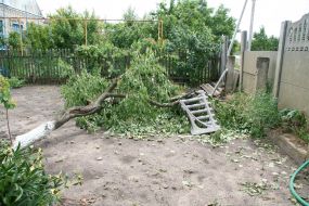 The consequences of hurricane