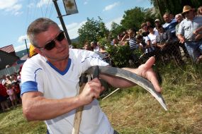 Participant of mowers competition