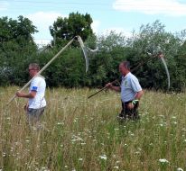 Participants of mowers competition